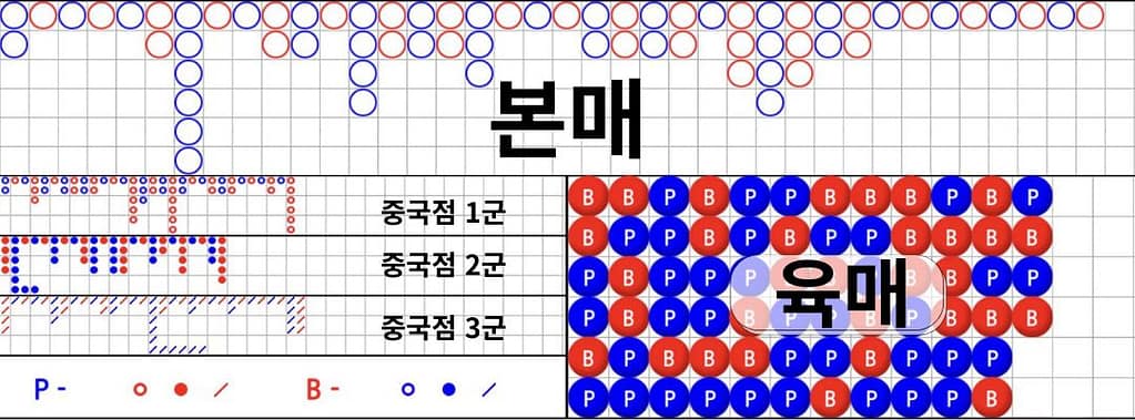 바카라 출목표(그림장) 전체 로드맵. 본매, 육매, 중국점(1군, 2군, 3군)의 위치와 기초 보는 법을 설명하는 이미지