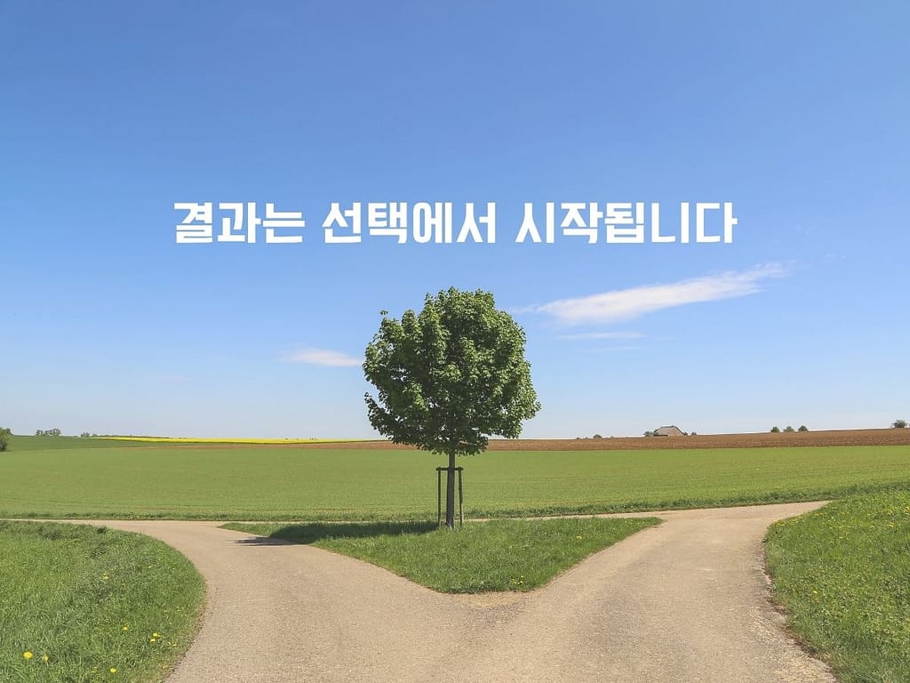 책임 있는 플레이 선택의 중요성을 보여주는 갈림길 이미지